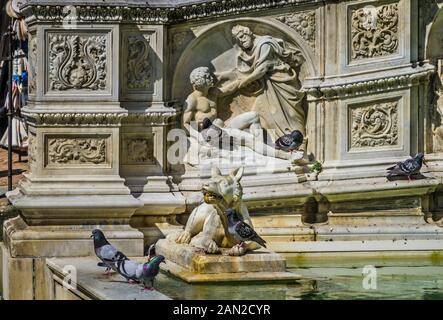 Pidgeons bevölkern den monumentalen Gaia-Brunnen an der Piazza del Campo in Siena mit Relieffiguren Aus Dem Alten Testamente wie "Die Schöpfung von Adam", Siena, T Stockfoto