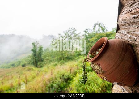 Einen Tontopf mit Blumen in hängt von einer hölzernen Hütte in den Bergen von Sapa während einer nebligen Morgen gefunden Stockfoto