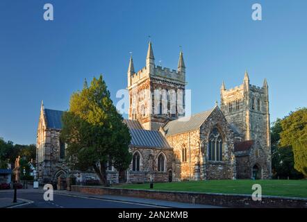 Wimborne Minster, Wimborne, Dorset, England Stockfoto