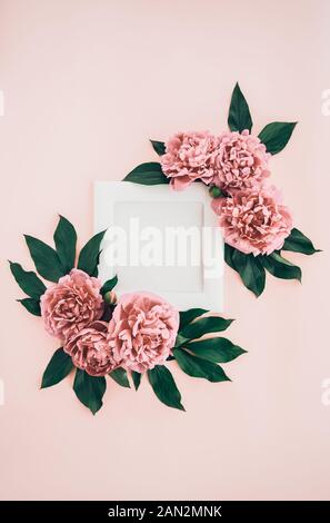 Feine Komposition mit Holz Bilderrahmen mit weißer Leinwand und gedämpften Rosa pfingstrose Blüten mit dunklen grünen Blättern auf der rosa Hintergrund. Artwo Stockfoto
