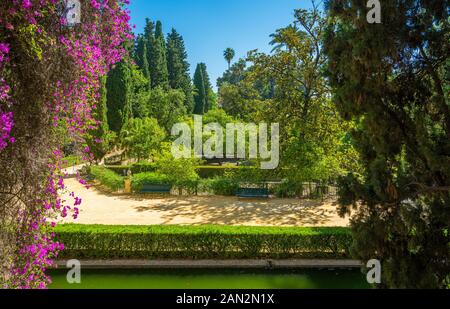 Der idyllische Garten in den königlichen Alcazaren von Sevilla, Andalusien, Spanien. Stockfoto