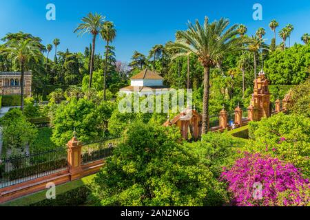 Der idyllische Garten in den königlichen Alcazaren von Sevilla, Andalusien, Spanien. Stockfoto