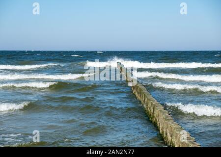 Blick auf die Ostsee mit ihren buhnen am Strand von Trassenheide. Stockfoto