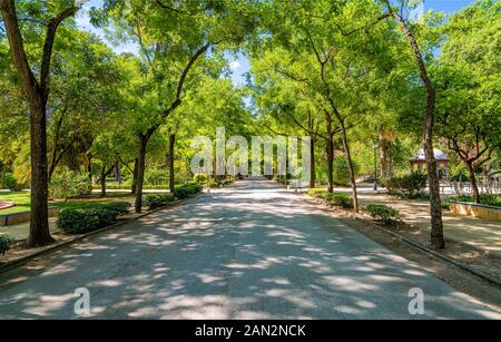 Der Parque de Maria Luisa (Maria-Luisa-Park), berühmter öffentlicher Park in Sevilla, Andalusien, Spanien. Stockfoto