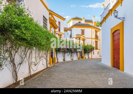 Die berühmte Plaza de Toros von Sevilla an einem Sommernachmittag, Andalusien, Spanien. Stockfoto