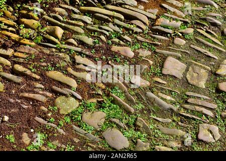 Textur von Kieselsteinen im Pfad mit Erde und Pflanzen dazwischen Stockfoto