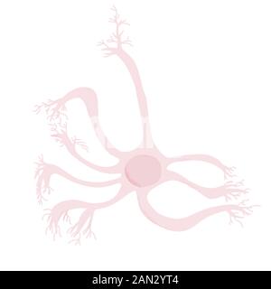 Neuron mit langen Axonen. Vektorillustrierung. Stock Vektor