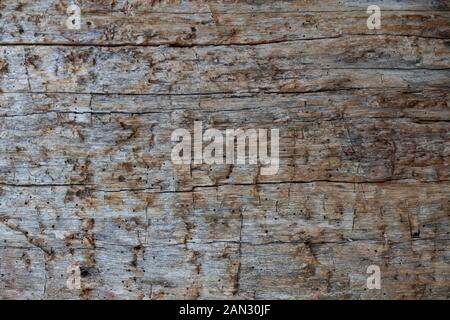 Textur eines alten Holzbrett Stockfoto