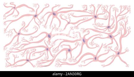 Neuronenzellen gesetzt. Sammlung von Hirnneurocyten. Vektor-Ebene illustrieren. Stock Vektor