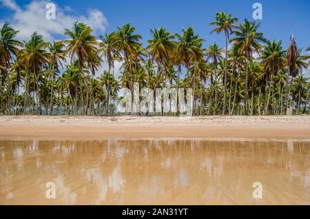Landschaften auf 'Insel Boipeba", Strände in Bahia, Brasilien