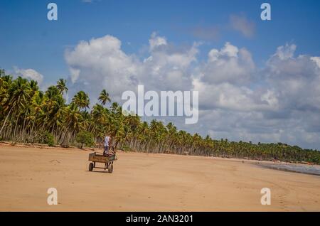 Landschaften auf 'Insel Boipeba", Strände in Bahia, Brasilien