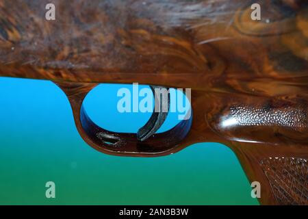 Luft Pistole mit Munition für Sportschützen im Kaliber 4,5 mm fotografiert im Studio Stockfoto