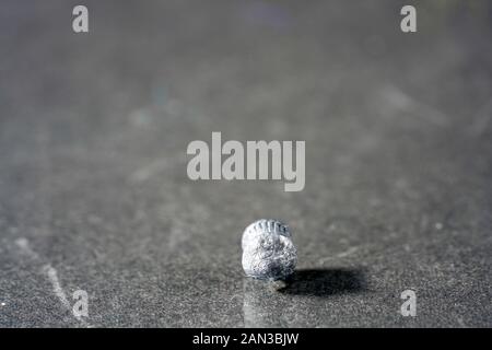 Luft Pistole mit Munition für Sportschützen im Kaliber 4,5 mm fotografiert im Studio Stockfoto