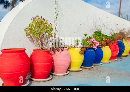 Blumentöpfe in verschiedenen Farben im Freien. Reihe von bunten Tongefäße mit Pflanzen auf der Insel Santorin Stockfoto