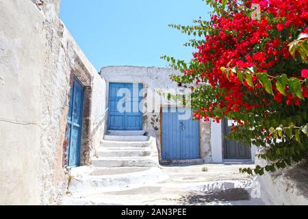 Weiß gestrichene Wände mit blauen Türen und roten Bougainvillea-Blumen im Vordergrund, im traditionellen Dorf Megalochori, Santorini, Griechenland. Stockfoto