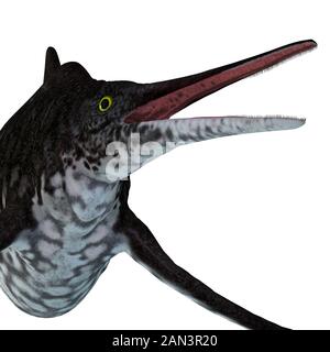 Shonisaurus popularis war ein Ichthyosaurier, der während der Trias in den Meeren Nordamerikas lebte. Stockfoto