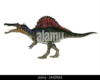 Spinosaurus war ein fleischfressender Dinosaurier, der in Afrika während der Kreidezeit gejagt wurde. Stockfoto