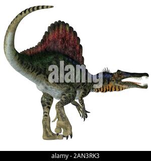 Spinosaurus war ein fleischfressender Dinosaurier, der in Afrika während der Kreidezeit gejagt wurde. Stockfoto