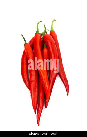 Eine Nahaufnahme eines Pfeffer auf weißem Hintergrund. Hohe Qualität Foto Stockfoto