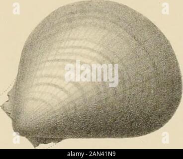 Memoires de la Société de physique et d'histoire naturelle de Genève. A- b ?^ a. ??y "^ Stockfoto