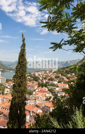 Blick über die Dächer der Altstadt, Kotor, Montenegro von Put Do Svetog Ivana (Straße zum Fort von St. John) Stockfoto