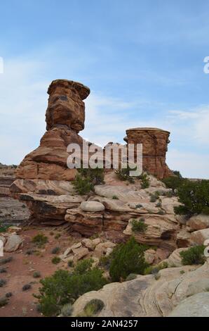 Frühsommer in Utah: Felsformationen Aus dem Big Spring Canyon Übersehen im Needles District des Canyonlands National Park Stockfoto