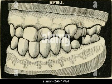 Transaktionen der Illinois State Dental Society, 1892 . Stockfoto