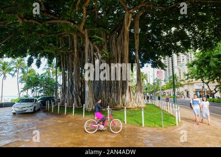 Honolulu, Oahu, Hawaii - November 04, 2019: Street View in Waikiki mit nicht identifizierten Personen. Waikiki ist ein Stadtteil von Honolulu, berühmt für W Stockfoto