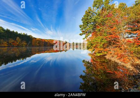 Schönen Herbst Laub von New England bei Sonnenaufgang, Boston, Massachusetts. Foto zeigt zwei weiße Schwäne schwimmen in einem See. Stockfoto