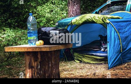 Sommer Rest in den Wald auf die Natur im Zelt der Hund ruht Stockfoto