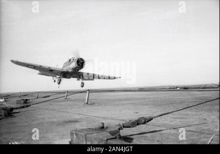 Eine Blackburn-Skua-Landung auf der "HMS Ark Royal". Sichtbar sind auch die über das Flugdeck gestrankten Arrestordrähte. April 1941 Stockfoto