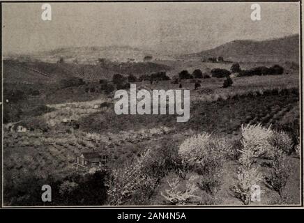 Sich San Jose und Santa Clara Valley. . Ungefähr gleichmäßig auf beiden Seiten des Baches, und liegt an der Hauptstraße von einem malerischen archedbridge Überquerung des Baches. Der Name, Los Gatos, ist Spanisch, und beingName interpretiert bedeutet, die Katzen. In den frühen Tagen, bevor es Siedlung whatso - überhaupt, die Berge, Schluchten und Ausläufern in der vicinitywere dicht bewohnt von Wildkatzen, und selbst jetzt, in themore abgelegenen Orten, man noch recht sind zahlreich. Los Gatos hat eine der besten schoolsSchools im Zustand, und ist in mehr Studien, die von der Universität von Calif akkreditiert Stockfoto