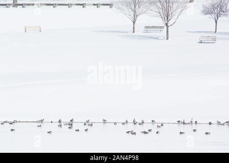 Winterlandschaft mit Schnee Stockfoto