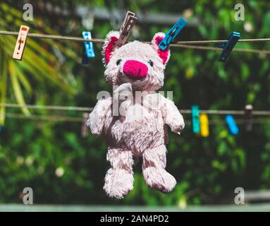 Gefülltes Schwein hängend. Stockfoto