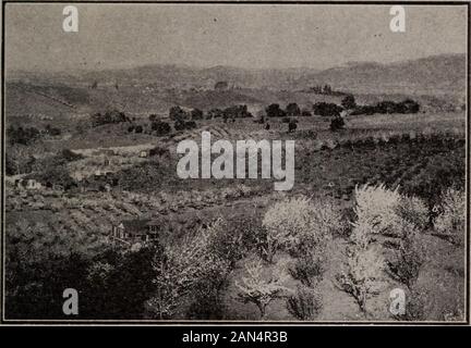 Sich San Jose und Santa Clara Valley. . Otel, Federn und der Stürzende Bergbäche, die den Ölfluss und hinunter ins Tal. Bewaldete Hügel und Gras gewachsen erstreckt sich der Wald von der Attraktivität hinzu, und dieser Ort ist bestimmt sehr beliebt als All-the-year-round Resort zu werden. Durch die elektrische Eisenbahn zu Saratoga läuft erreicht. Zentrum des größten und reichsten Frucht - wachsen - Campbell ing Bezirk in der Welt. Hat die greatestfruit Trockner im Bereich und der Betrag der Ausgabe knownto die Frucht der Industrie. Alle offenen Lufttrockner. Auch establishmen greatcanneries und Verpackung Stockfoto