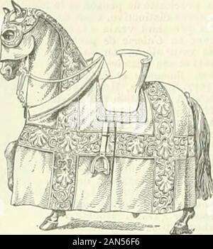 Nouveau Larousse illustré: Wörterbuch universel encyclopédique. Housse de Fauteuil -. HOUSSEAU-HOVEN sur le Collier, n Sorte de Grand Filet qui recouvre La tête, Jo cou, Le Corps et la croupe du Cheval, pour le préserverdo La piqûre des taons, il Couverture du siège Dun cochre. Il Couverture détoffe nicht auf couvrait le Haut dun carrosse. - JEcoD.dom. Kuvertüre détoffe légère, Knecht à-pro-téger De meubles en entier ou eupartie: Housse de Fauteuil. - Manèg. En housse. Sur unemonture ayant une Housse, ii Criquepousse lécuyer pour Donner auxélèves Kavaliere monterà lordre de Cheval. - Tec Stockfoto