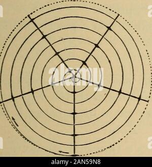 Der Unterricht in der Grundschule Botanik für weiterführende Schulen;. Abb. 2. Abb. 3.. ,-Y^Z Z^j. (Lufk Pw WV KJ11;^^^ : k • *Abb. 4. Abb. 5. Diagramme die spiralförmige Anordnung der Knospen, Blätter, etc. Abb. zu illustrieren. 2 Die Anordnung; Bild. 3, Abb. 4, die §; Bild. 5, w. Aftervon Kerner. Die Positionen der aufeinander folgenden Blätter sind byshading angezeigt. Die Thorn stellt vermutlich eine modifizierte Filiale de - von einem Zubehörteil bud entwickelt. Ein Diagramm wie 10 elementare Botanik zeichnen. Abb. 1 Die Anordnung der Blüten, Dornen, Blätter zu zeigen, in der Osage-orange. Weitere Studie der Knospen und ihren Bezug zu br Stockfoto