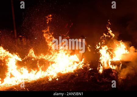 Vieh Sprung über das Feuer zusammen mit ihren Hundeführern während des Festivals. Kichchu haisodu ist ein Festival, das nach der Ernte Saison, wo Stiere über dem Feuer auf Makar Sankranti für gutes Omen gesprungen sind. Es gibt auch einige wissenschaftliche Grund laut der Einheimischen, die im Winter Insekten wächst auf dem Vieh Skins, so, es loswerden die Rinder werden über das Feuer zu springen. Stockfoto