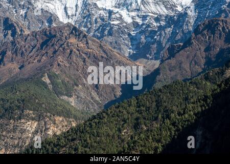 Die wunderschön mit Pinien bewachsene Hügel und tiefen Täler des Himalaya in Nepal auf der beliebten Annapurna Circuit trekking Route im Norden von Nepal Stockfoto