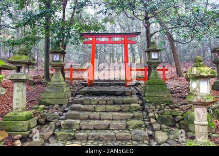Torii Gate an der Spitze der alten Steintreppe am Kasuga Grand Shrine in Japan. Stockfoto