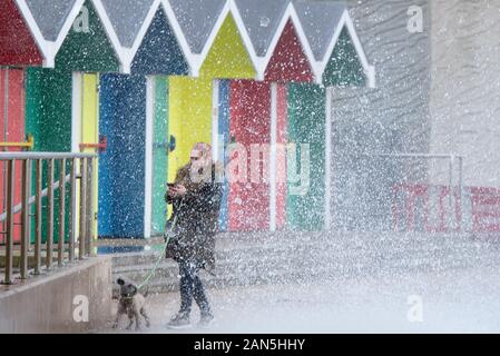 Barry, Tal von Glamorgan, Wales, UK. 14. Januar 2020. Eine Flut und Sturm Winde kombinieren Sie am frühen Morgen die Spaziergänger und Hunde entlang der Prom zu fangen Stockfoto