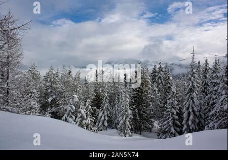 Ibex Peak und Schneeschuh Gipfel verdeckt von Wolken nach einem Wintersturm, in dem Kabinett Bergen, in Sanders County, Northwest Montana. Ibex Peak hat eine Stockfoto