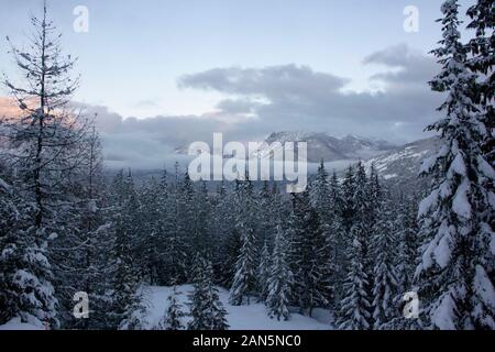 Ein winter Sonnenuntergang Blick von Steinböcken und Schneeschuh Gipfel im Schaltschrank Berge, von Eagle, im Nordwesten von Montana. Ibex Peak mit einer Höhe von 7,676 m Stockfoto