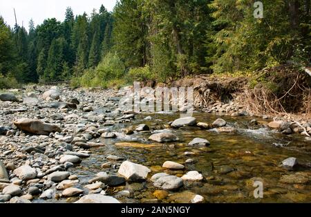 Der North Fork des Callahan Creek, der durch die Cabinet Mountains nach Westen blickt, im Lincoln County, Montana. Stockfoto