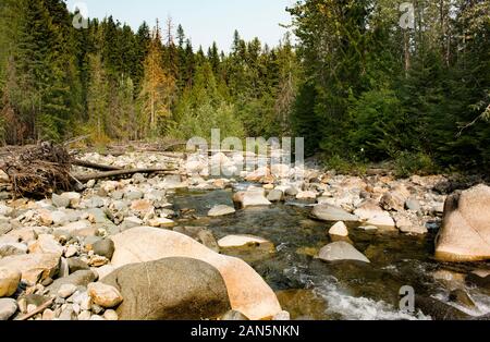 Der North Fork des Callahan Creek, der durch die Cabinet Mountains nach Westen blickt, im Lincoln County, Montana. Stockfoto