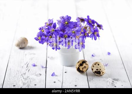 Leberblümchen violetten Blüten in einem kleinen weißen Vase mit Eiern. Selektive konzentrieren. Ostern Konzept. Stockfoto