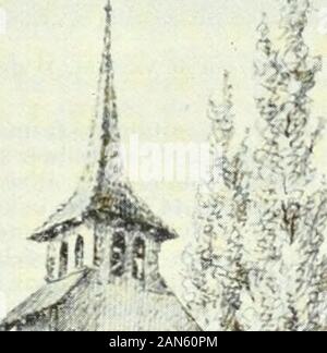 Wörterbuch historique & biographique de la Suisse: publié avec la Empfehlung de la Société générale Suisse d'histoire et sous la Direction de Marcel Godet, Henri Türler [et] Victor Attinger avec de nombreux collaborateurs de tous les Kantone. Stockfoto