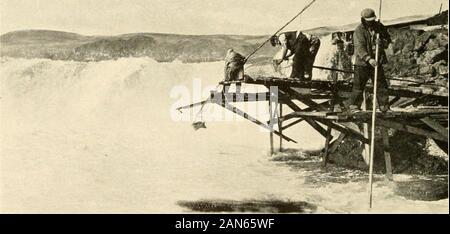 Erkundungen und Feld-Arbeit der Smithsonian Institution in.. . Abb. 46. - Fischerei Boden auf dem indischen Reserve bei Celilo, Uruy. Hier thewaters des Columbia gießen über Felsvorsprünge, Wasserfälle und Stromschnellen zu bilden. Salmonon ihren Laich Reise stromaufwärts verrechnet oder durch die Inder aufgespießt.. Abb. 47.- Verrechnung Lachs an Celilo Falls, auf dem Columbia River. In den Lautspre- chern eine Plattform zusammen und das indische Fischer ist nicht mehr gesehen. SMITHSONIAN Erkundungen, IQ 34 55 Stockfoto