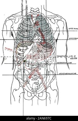 Die Anzeichen für interne Krankheiten, mit einer kurzen Betrachtung der wichtigsten Symptome. een, der Niere oder der Eierstöcke, tohernias oder selten zu Erweiterungen der mesenterialen Drüsen, oder -871 - produktionsverhältnisse fteces. Lokale Entzündungen wie Blinddarmentzündung oft showlocal Schwellung. Der Abstieg des Zwerchfells und der Wölbung in theepigastrium aufgrund von Flüssigkeiten in der Brusthöhle ist angesprochen worden. Rückzug der Wände ist in allen Formen der akuten fieberhaften andwasting Krankheiten wie Typhus, Tuberkulose und Krebs gesehen. Es occursand ist progressiv in der intestinalen Strikturen und in Stenose von t Stockfoto