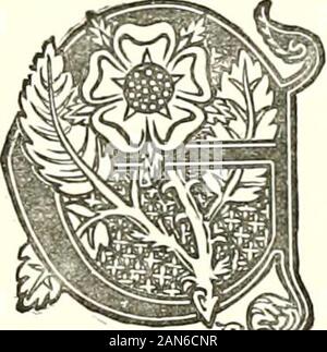 Die königliche Abstammung unserer edlen und sanften familiesTogether mit Ihren väterlichen Vorfahren.. . Der Abstieg von DArcy Edward Boulton, Esq., von Shell River, Manitoba, aus dem Blut Royal von England. DWARD namedafter Edward I., also der Con-Fessor; bei West geboren - Münster, 17. Juni 1232, zum Ritter geschlagen atBurgos, 1254, Earl von Chester, gekrönt am AVestminster, 19 Aug, 1274, König von -xy<<S%? England, Herr des Ire-land, Herzog von Aquitanien; er gedämpft, das die Eliminierung der Erfüllungsrisiken pality von Wales, 12 S3, behauptet und exercisedfeudal Überlegenheit über Schottland; gestorben am Burgh-auf-die-Sands, Cumberland, 7. Juli, 1307 buriedin Stockfoto